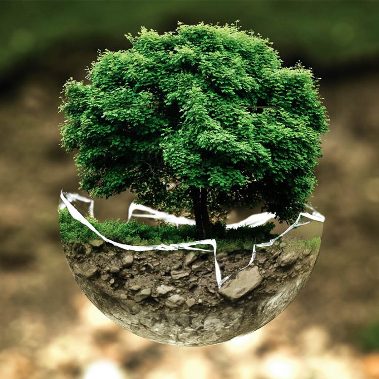 CDJV-blog-environnement