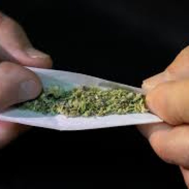 Cannabis